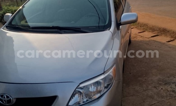 Acheter Occasion Voiture Toyota Corolla Gris à Yaoundé, Central Cameroon