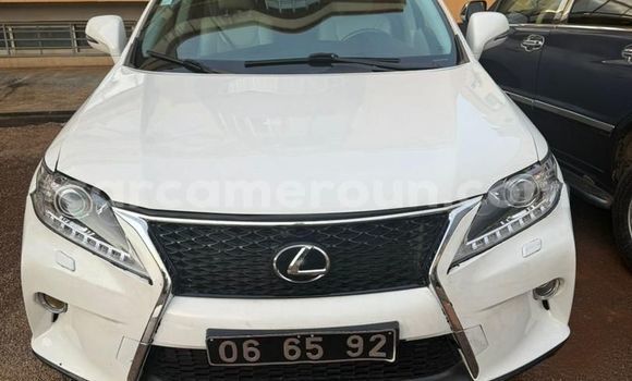 Buy Used Lexus RX 350 White Car in Yaounde in Central Cameroon