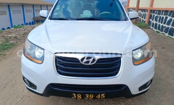 Acheter Occasion Voiture Hyundai Santa Fe Blanc à Yaoundé, Central Cameroon Acheter Occasion Voiture Hyundai Santa Fe Blanc à Yaoundé, Central Cameroon