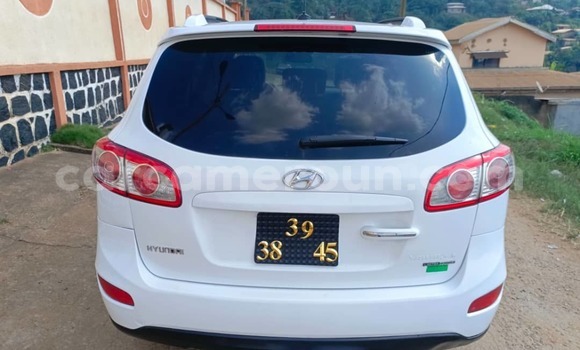 Acheter Occasion Voiture Hyundai Santa Fe Blanc à Yaoundé, Central Cameroon Acheter Occasion Voiture Hyundai Santa Fe Blanc à Yaoundé, Central Cameroon