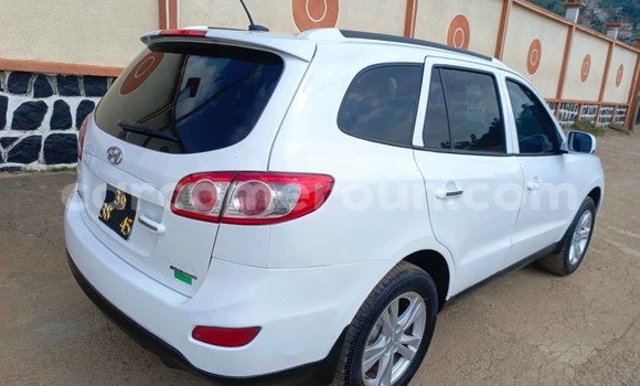 Acheter Occasion Voiture Hyundai Santa Fe Blanc à Yaoundé, Central Cameroon Acheter Occasion Voiture Hyundai Santa Fe Blanc à Yaoundé, Central Cameroon