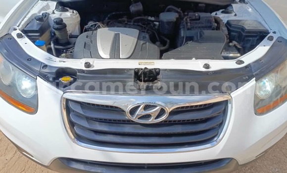 Acheter Occasion Voiture Hyundai Santa Fe Blanc à Yaoundé, Central Cameroon Acheter Occasion Voiture Hyundai Santa Fe Blanc à Yaoundé, Central Cameroon