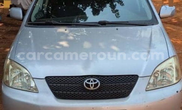 Acheter Occasion Voiture Toyota Corolla Gris à Yaoundé, Central Cameroon Acheter Occasion Voiture Toyota Corolla Gris à Yaoundé, Central Cameroon
