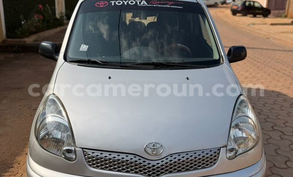 Buy Used Toyota Yaris Verso Silver Car in Yaounde in Central Cameroon Buy Used Toyota Yaris Verso Silver Car in Yaounde in Central Cameroon