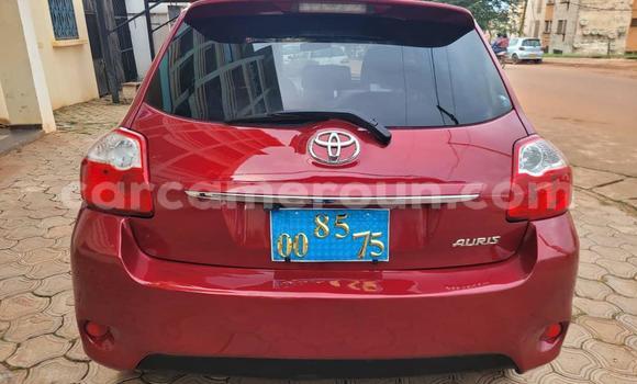 Buy Used Toyota Auris Red Car in Yaounde in Central Cameroon Buy Used Toyota Auris Red Car in Yaounde in Central Cameroon
