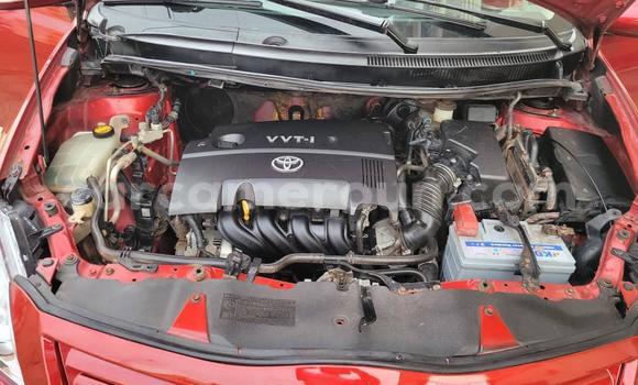 Buy Used Toyota Auris Red Car in Yaounde in Central Cameroon Buy Used Toyota Auris Red Car in Yaounde in Central Cameroon