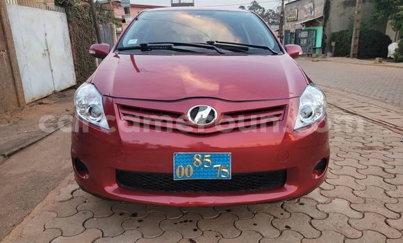 Buy Used Toyota Auris Red Car in Yaounde in Central Cameroon Buy Used Toyota Auris Red Car in Yaounde in Central Cameroon