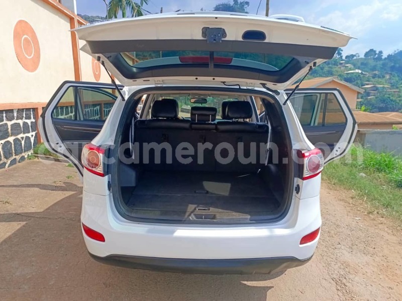 Big with watermark hyundai santa fe central cameroon yaounde 22013