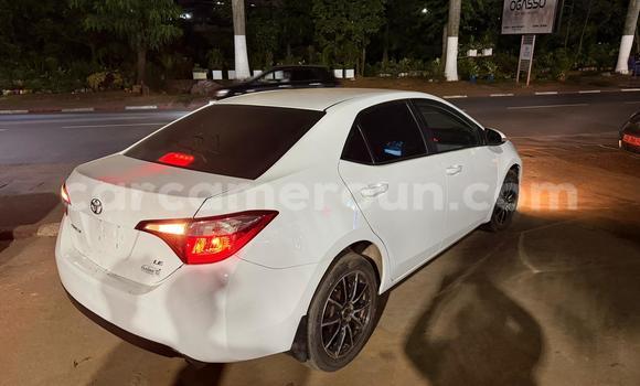 Acheter Occasion Voiture Toyota Corolla Blanc à Yaoundé, Central Cameroon Acheter Occasion Voiture Toyota Corolla Blanc à Yaoundé, Central Cameroon