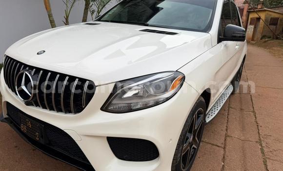 Buy Used Mercedes‒Benz GLE White Car in Yaounde in Central Cameroon Buy Used Mercedes‒Benz GLE White Car in Yaounde in Central Cameroon