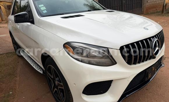 Buy Used Mercedes‒Benz GLE White Car in Yaounde in Central Cameroon Buy Used Mercedes‒Benz GLE White Car in Yaounde in Central Cameroon