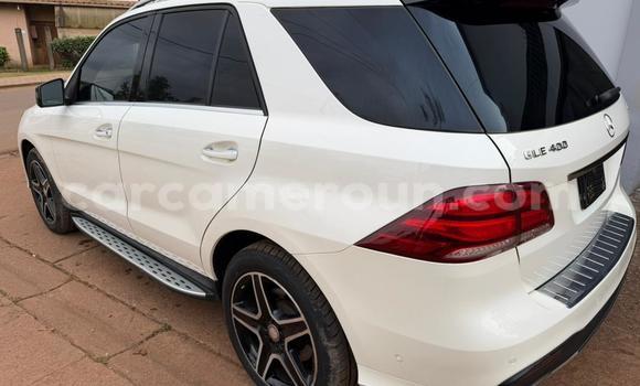 Buy Used Mercedes‒Benz GLE White Car in Yaounde in Central Cameroon Buy Used Mercedes‒Benz GLE White Car in Yaounde in Central Cameroon