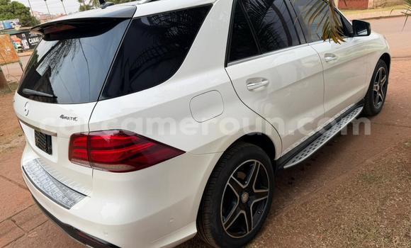 Buy Used Mercedes‒Benz GLE White Car in Yaounde in Central Cameroon Buy Used Mercedes‒Benz GLE White Car in Yaounde in Central Cameroon