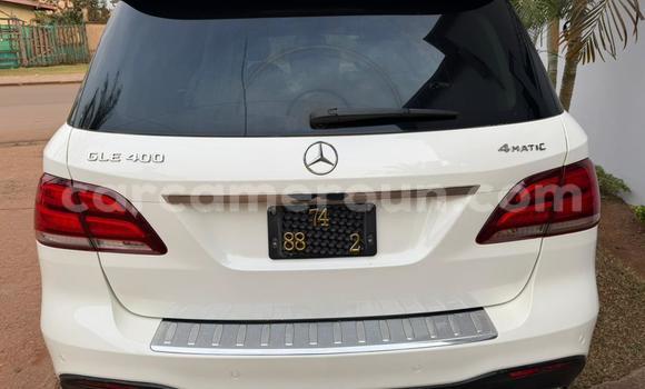 Buy Used Mercedes‒Benz GLE White Car in Yaounde in Central Cameroon Buy Used Mercedes‒Benz GLE White Car in Yaounde in Central Cameroon