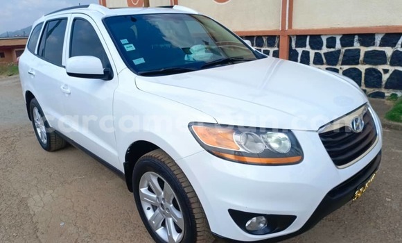 Buy Used Hyundai Santa Fe White Car in Yaounde in Central Cameroon Buy Used Hyundai Santa Fe White Car in Yaounde in Central Cameroon