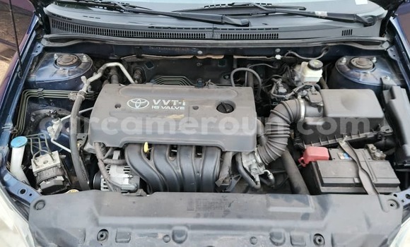 Acheter Occasion Voiture Toyota Corolla Bleu à Yaoundé, Central Cameroon Acheter Occasion Voiture Toyota Corolla Bleu à Yaoundé, Central Cameroon