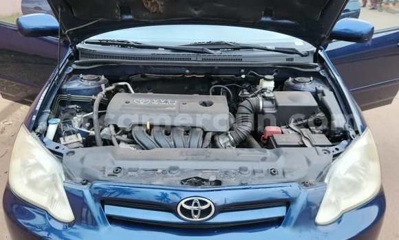 Acheter Occasion Voiture Toyota Corolla Bleu à Yaoundé, Central Cameroon Acheter Occasion Voiture Toyota Corolla Bleu à Yaoundé, Central Cameroon