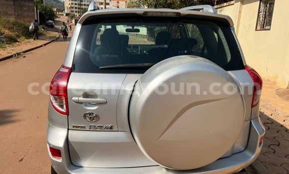 Buy Used Toyota RAV4 Silver Car in Yaounde in Central Cameroon Buy Used Toyota RAV4 Silver Car in Yaounde in Central Cameroon