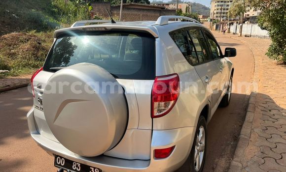 Buy Used Toyota RAV4 Silver Car in Yaounde in Central Cameroon Buy Used Toyota RAV4 Silver Car in Yaounde in Central Cameroon