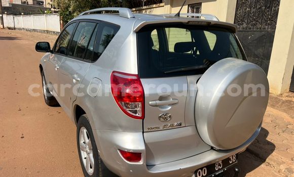 Buy Used Toyota RAV4 Silver Car in Yaounde in Central Cameroon Buy Used Toyota RAV4 Silver Car in Yaounde in Central Cameroon