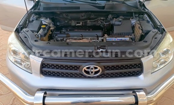 Buy Used Toyota RAV4 Silver Car in Yaounde in Central Cameroon Buy Used Toyota RAV4 Silver Car in Yaounde in Central Cameroon