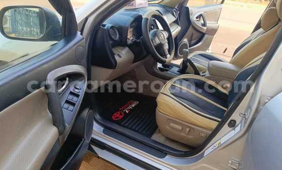 Buy Used Toyota RAV4 Silver Car in Yaounde in Central Cameroon Buy Used Toyota RAV4 Silver Car in Yaounde in Central Cameroon