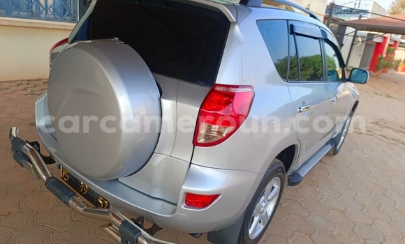 Buy Used Toyota RAV4 Silver Car in Yaounde in Central Cameroon Buy Used Toyota RAV4 Silver Car in Yaounde in Central Cameroon
