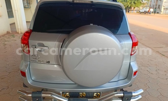 Buy Used Toyota RAV4 Silver Car in Yaounde in Central Cameroon Buy Used Toyota RAV4 Silver Car in Yaounde in Central Cameroon