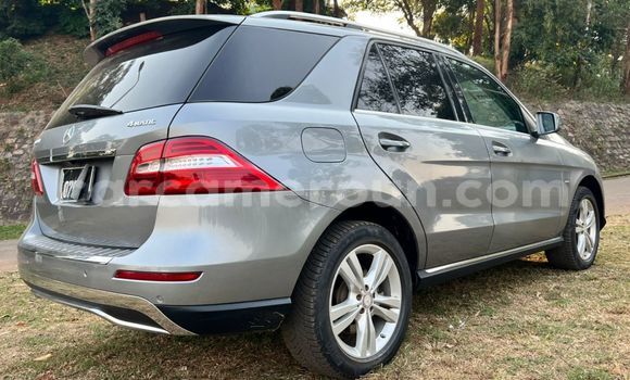 Buy Used Mercedes‒Benz ML–Class Silver Car in Yaounde in Central Cameroon Buy Used Mercedes‒Benz ML–Class Silver Car in Yaounde in Central Cameroon