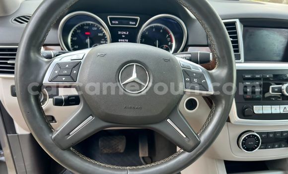 Buy Used Mercedes‒Benz ML–Class Silver Car in Yaounde in Central Cameroon Buy Used Mercedes‒Benz ML–Class Silver Car in Yaounde in Central Cameroon