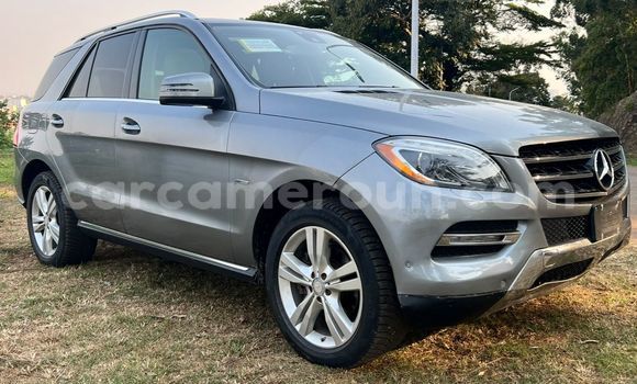Buy Used Mercedes‒Benz ML–Class Silver Car in Yaounde in Central Cameroon Buy Used Mercedes‒Benz ML–Class Silver Car in Yaounde in Central Cameroon