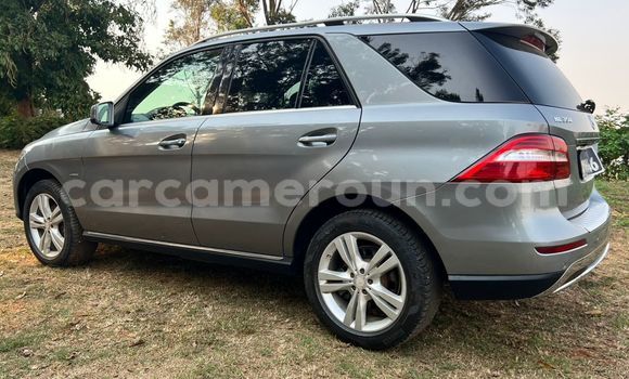 Buy Used Mercedes‒Benz ML–Class Silver Car in Yaounde in Central Cameroon Buy Used Mercedes‒Benz ML–Class Silver Car in Yaounde in Central Cameroon