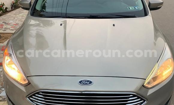 Acheter Occasion Voiture Ford Focus Gris à Bafia, Central Cameroon Acheter Occasion Voiture Ford Focus Gris à Bafia, Central Cameroon