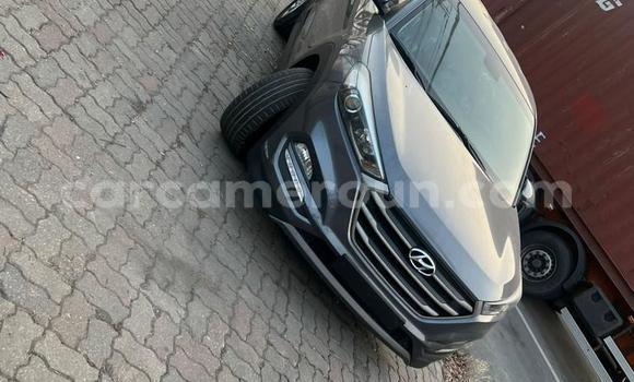 Acheter Occasion Voiture Hyundai Tucson Gris à Bamenda, Northwest Cameroon Acheter Occasion Voiture Hyundai Tucson Gris à Bamenda, Northwest Cameroon