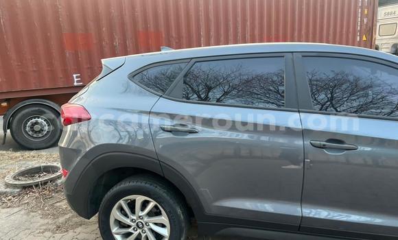 Acheter Occasion Voiture Hyundai Tucson Gris à Bamenda, Northwest Cameroon Acheter Occasion Voiture Hyundai Tucson Gris à Bamenda, Northwest Cameroon