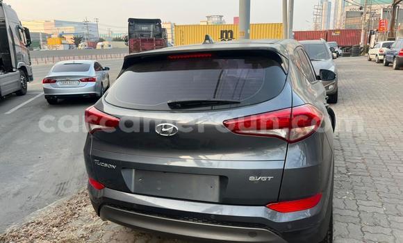 Acheter Occasion Voiture Hyundai Tucson Gris à Bamenda, Northwest Cameroon Acheter Occasion Voiture Hyundai Tucson Gris à Bamenda, Northwest Cameroon