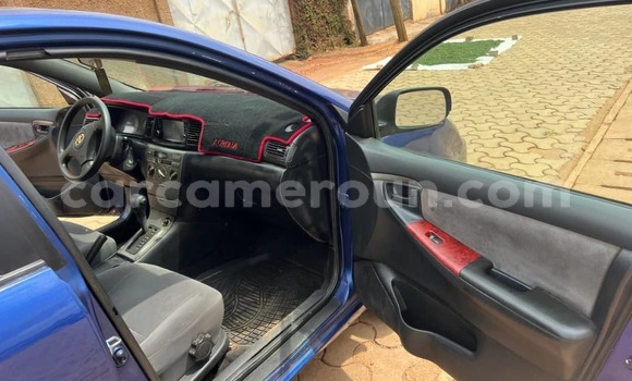 Sayi Na hannu Toyota Corolla Blue Mota in Yaounde a Babban Kamaru Sayi Na hannu Toyota Corolla Blue Mota in Yaounde a Babban Kamaru