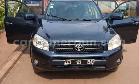 Acheter Occasion Voiture Toyota RAV4 Noir à Yaoundé, Central Cameroon Acheter Occasion Voiture Toyota RAV4 Noir à Yaoundé, Central Cameroon