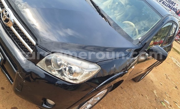 Buy Import Toyota RAV4 Black Car in Douala in Littoral Cameroon