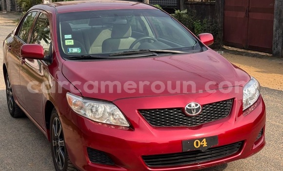Buy Import Toyota Corolla Red Car in Douala in Littoral Cameroon
