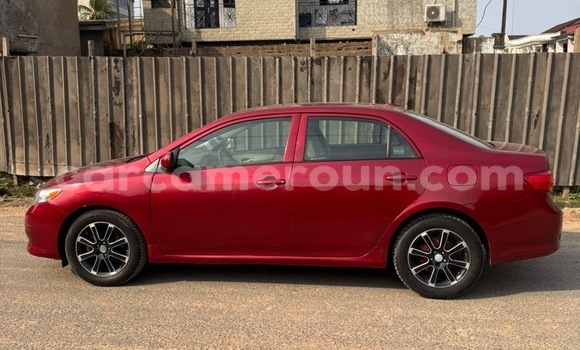 Acheter Import Voiture Toyota Corolla Rouge à Douala, Littoral Cameroon Acheter Import Voiture Toyota Corolla Rouge à Douala, Littoral Cameroon
