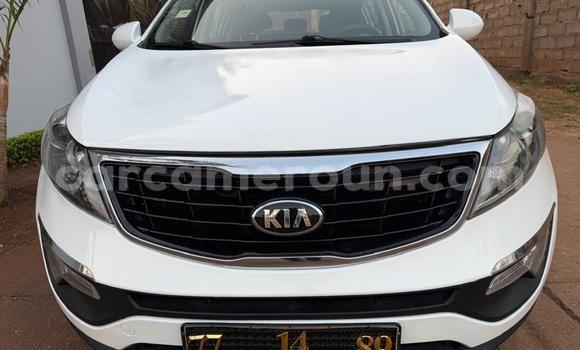 Acheter Occasion Voiture Kia Sportage Blanc à Yaoundé, Central Cameroon Acheter Occasion Voiture Kia Sportage Blanc à Yaoundé, Central Cameroon
