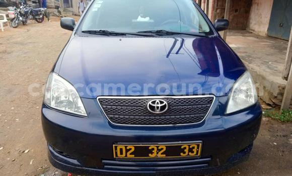 Sayi Na hannu Toyota Corolla Blue Mota in Douala a Ƙasar Kamaru Sayi Na hannu Toyota Corolla Blue Mota in Douala a Ƙasar Kamaru