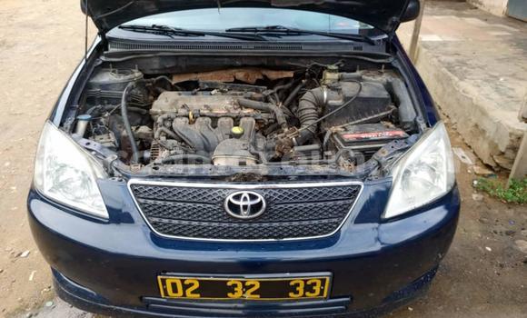 Sayi Na hannu Toyota Corolla Blue Mota in Douala a Ƙasar Kamaru Sayi Na hannu Toyota Corolla Blue Mota in Douala a Ƙasar Kamaru