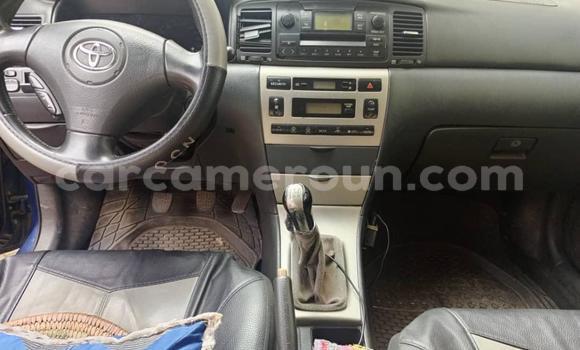 Sayi Na hannu Toyota Corolla Blue Mota in Douala a Ƙasar Kamaru Sayi Na hannu Toyota Corolla Blue Mota in Douala a Ƙasar Kamaru