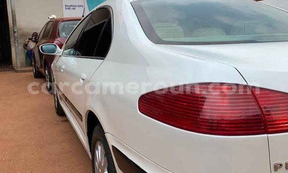 Acheter Import Voiture Peugeot 607 Blanc à Yaoundé, Central Cameroon Acheter Import Voiture Peugeot 607 Blanc à Yaoundé, Central Cameroon