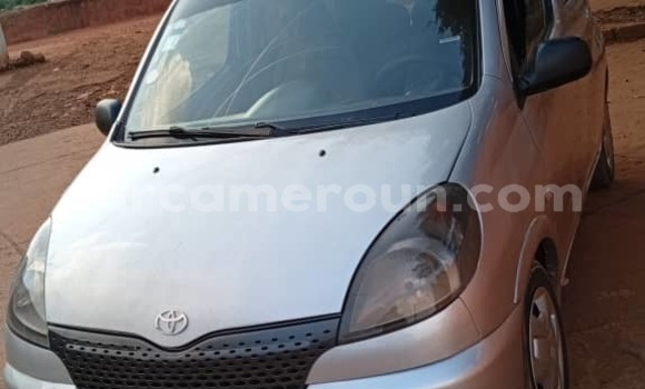 Buy Used Toyota Yaris Verso Silver Car in Yaounde in Central Cameroon Buy Used Toyota Yaris Verso Silver Car in Yaounde in Central Cameroon