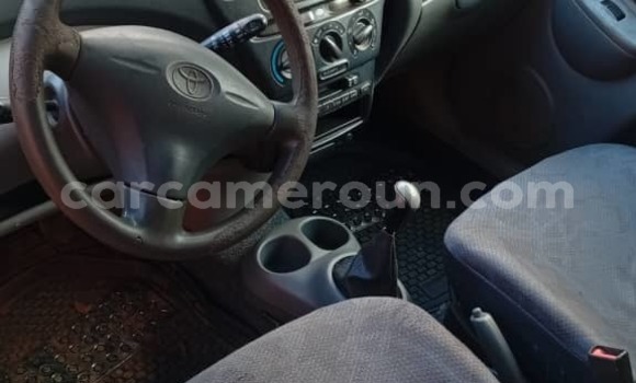 Buy Used Toyota Yaris Verso Silver Car in Yaounde in Central Cameroon Buy Used Toyota Yaris Verso Silver Car in Yaounde in Central Cameroon