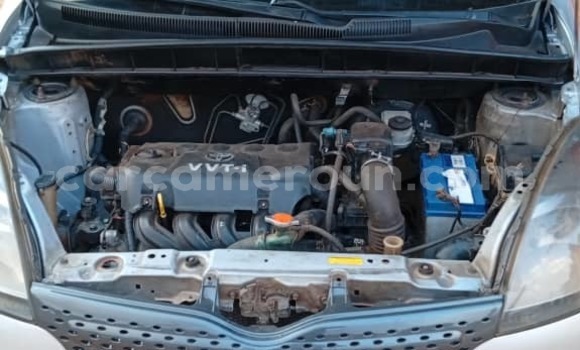 Buy Used Toyota Yaris Verso Silver Car in Yaounde in Central Cameroon Buy Used Toyota Yaris Verso Silver Car in Yaounde in Central Cameroon