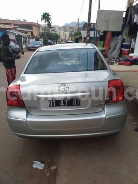 Big with watermark 47577268 156245518676491 7883343146740875264 n